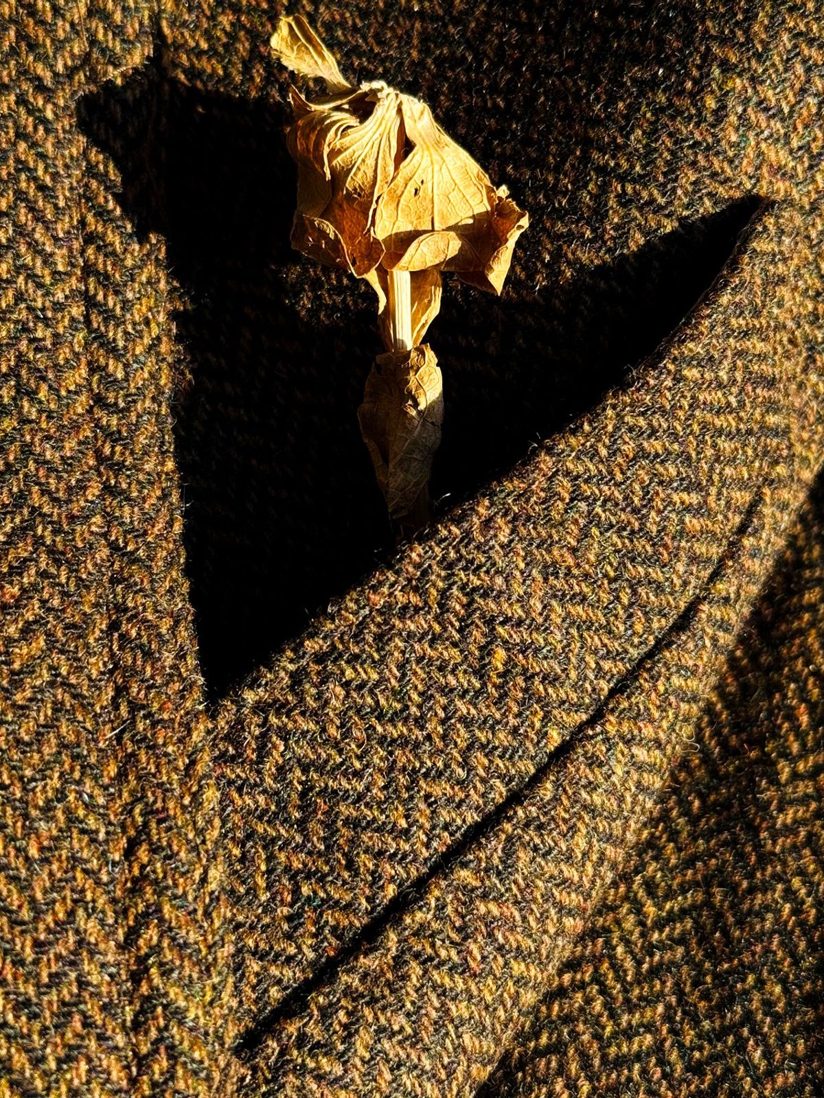 Texture of the weave